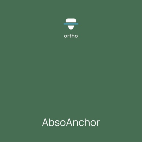 AbsoAnchor 