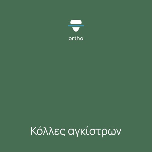 Κόλλες αγκίστρων 