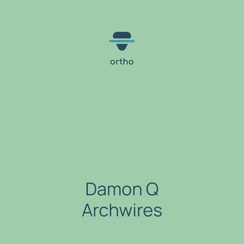 Damon Q Archwires