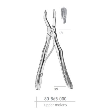 ΑΝΩ ΓΟΜΦΙΟΙ 