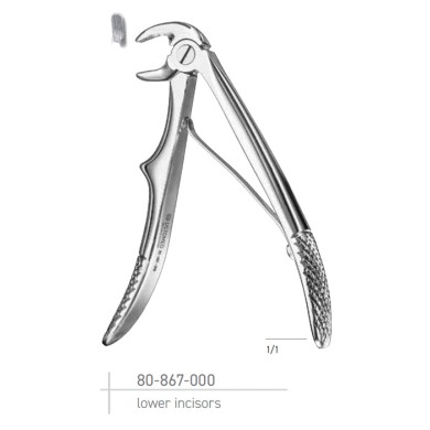 ΚΑΤΩ ΤΟΜΕΙΣ