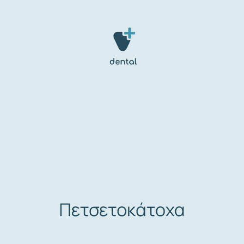 Πετσετοκάτοχα 