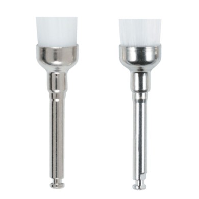 PROPHY BRUSHES 